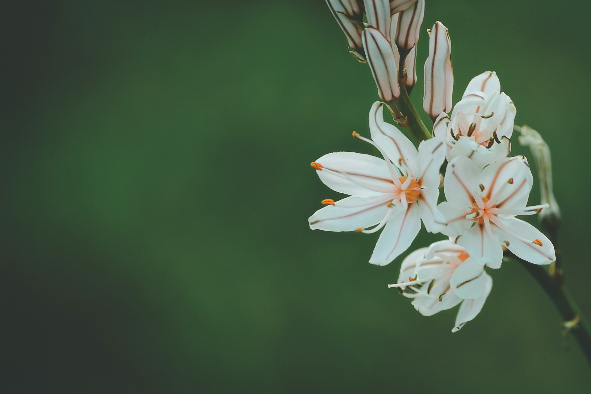 Living with Purpose in Every Season