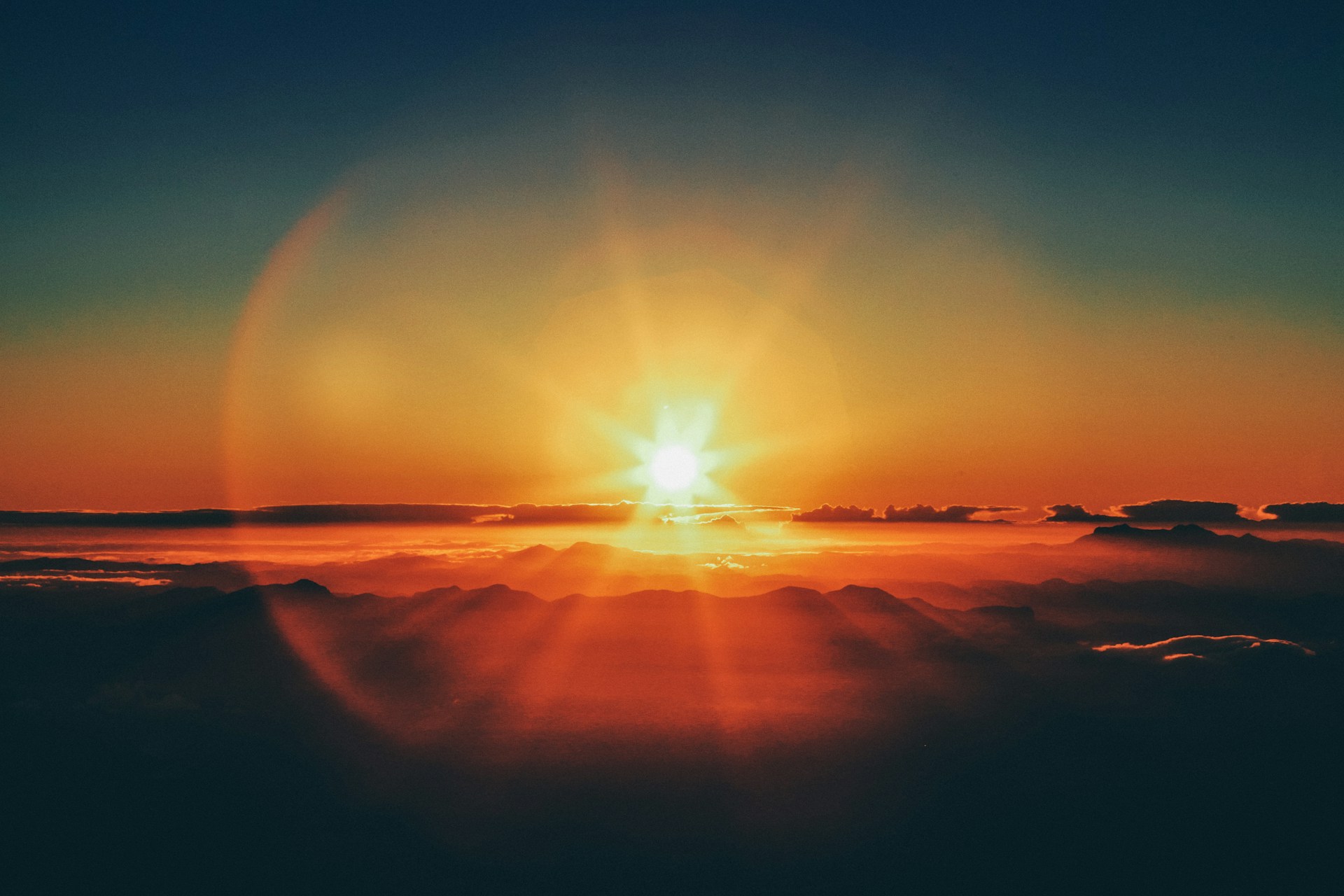Your Body Creates and Consumes Light!